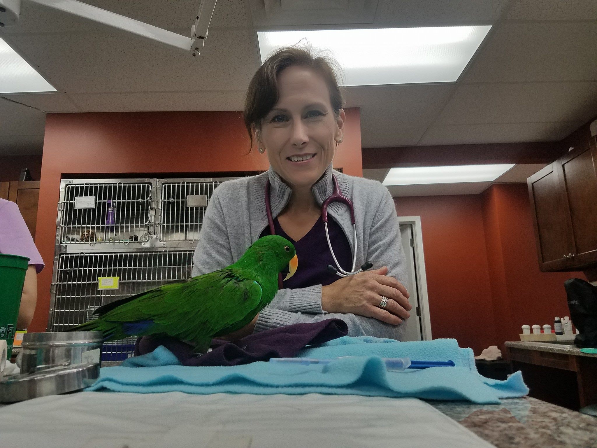 Broward Avian & Exotic Animal Hospital - Deerfield Beach Accessibility