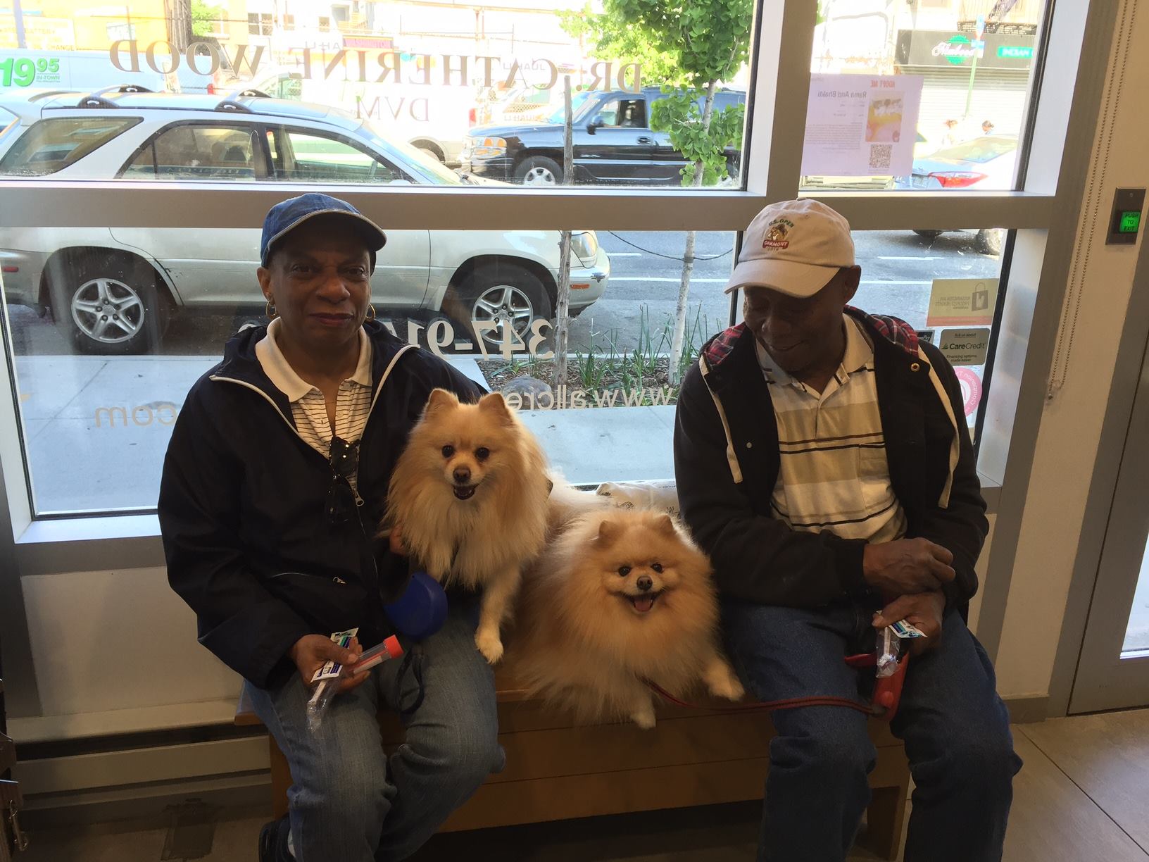 All Creatures Veterinary Hospital of Brooklyn - Crown Heights Appointments