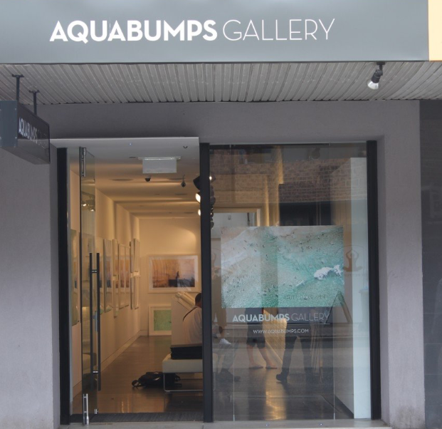 Aquabumps - Bondi Beach Appointments