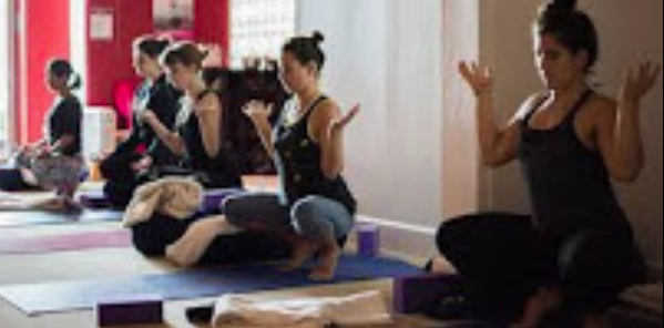 Dharma Shala Bondi Yoga School - North Bondi Accommodate