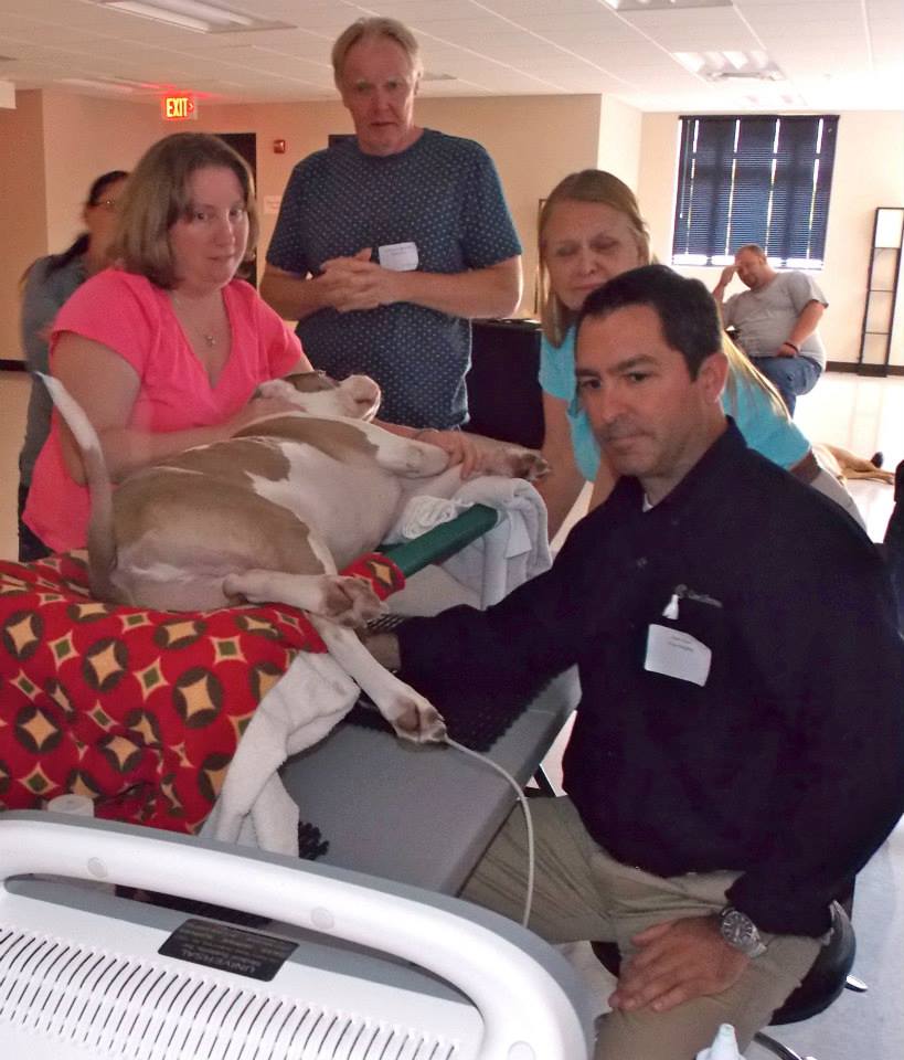 Palm Beach Veterinary Specialists - West Palm Beach Accommodate