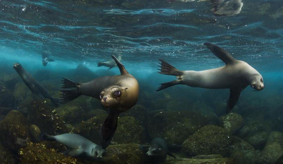 Phillip and Patricia Frost Museum of Science - Miami Appointments