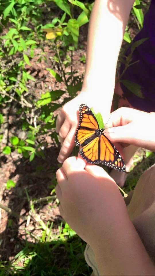 Southern Native Nursery - Loxahatchee Accessibility