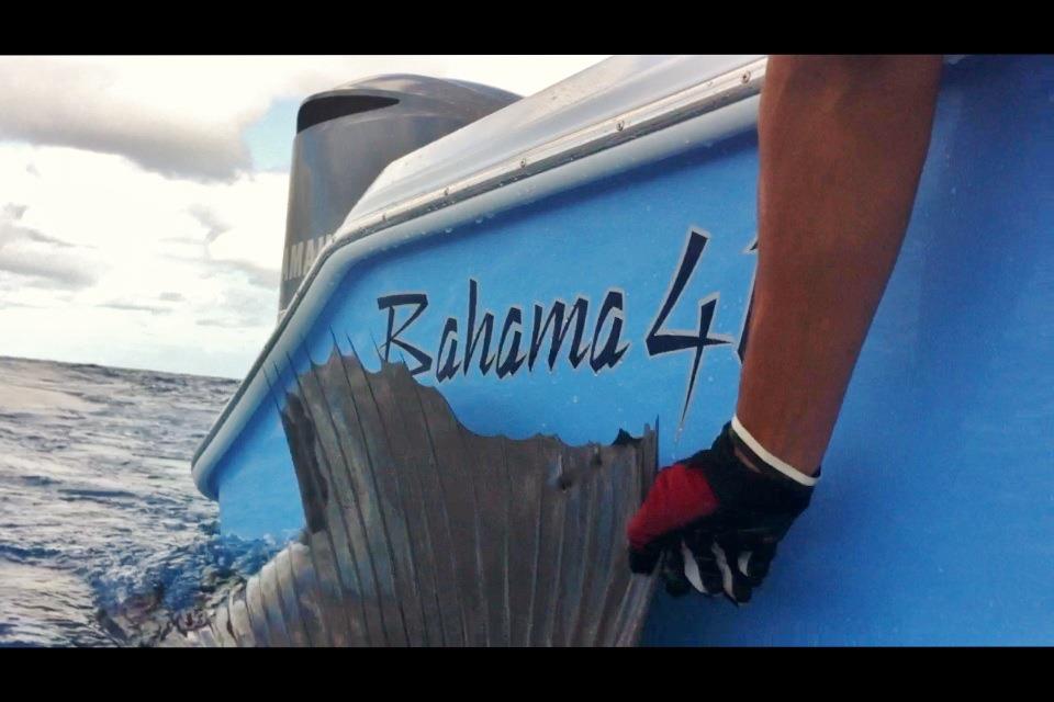 Bahama Boat Works - West Palm Beach Informative