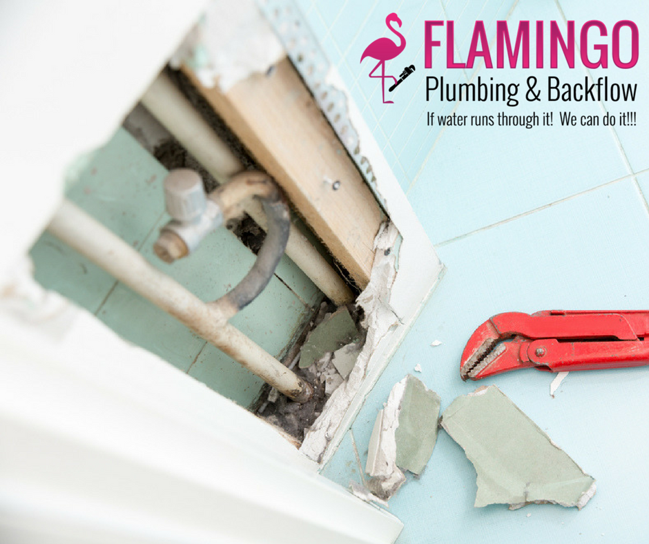 Flamingo Plumbing & Backflow Services - West Palm Beach Information