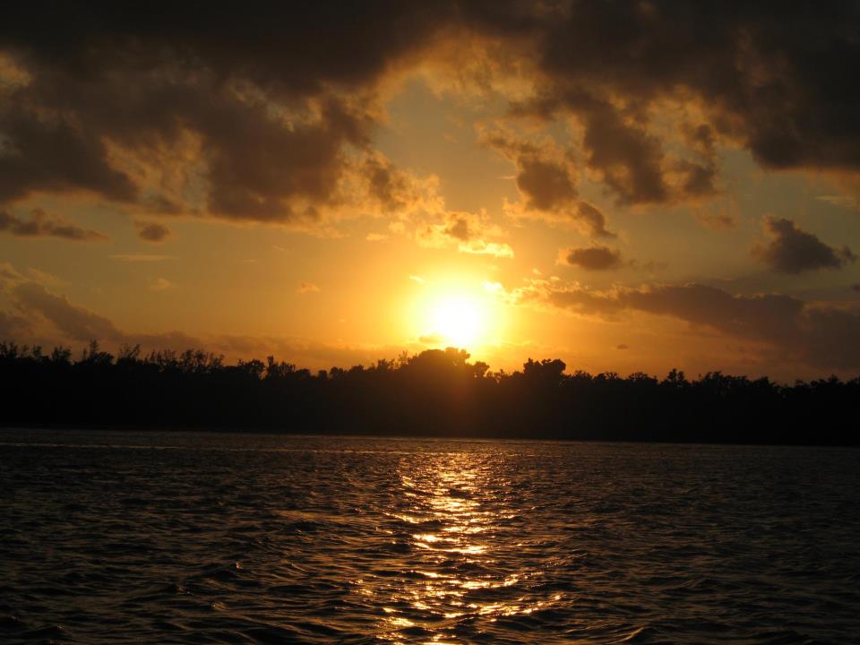 Harbor Insurance Agency West Palm Beach Service Insurance Harbor Insurance Agency West Palm Beach Service Insurance