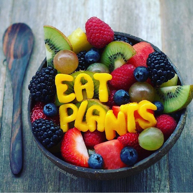 Just Juice Me Cafe - Miami Beach Environment