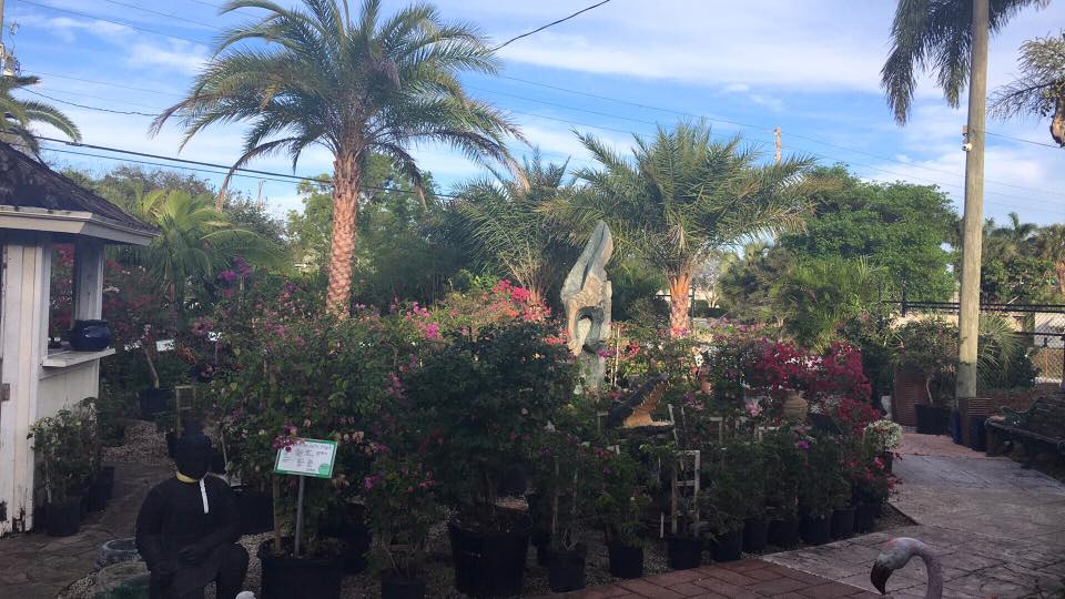 Meyer's Turf & Landscape Nursery South - West Palm Beach Accommodate