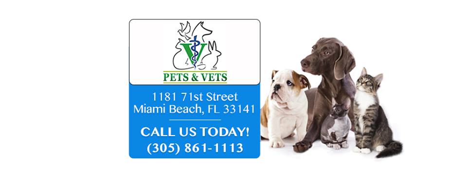 Pets & Vets Animal Clinic - Independence Independence