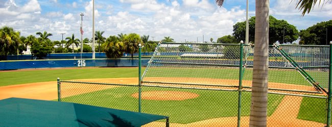 Phipps Park Baseball - West Palm Beach Regulations