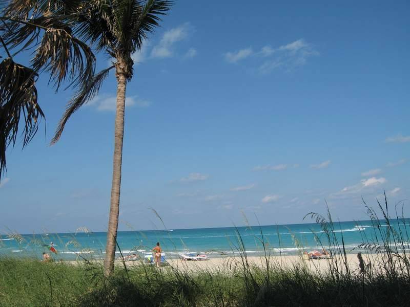 Seagull Hotel Miami Beach - Miami Beach Information