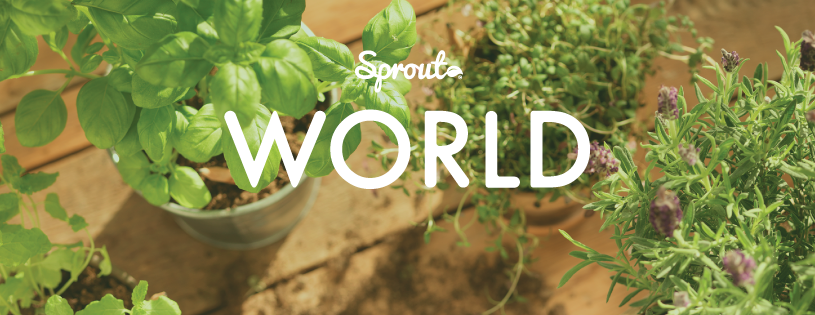 Sprouts - West Palm Beach Webpagedepot