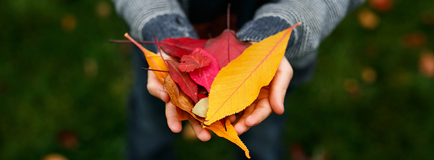 Allstate Insurance Agent: Larry Dudkiewicz - Miami Accommodate