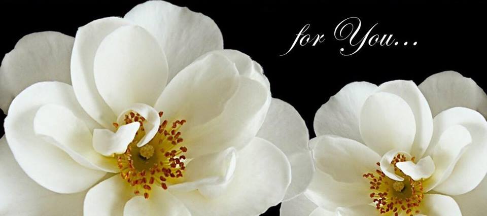 Amazing Flowers Miami - Sunny Isles Beach Arrangements