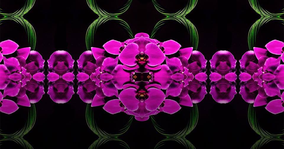 Amazing Flowers Miami - Sunny Isles Beach Informative