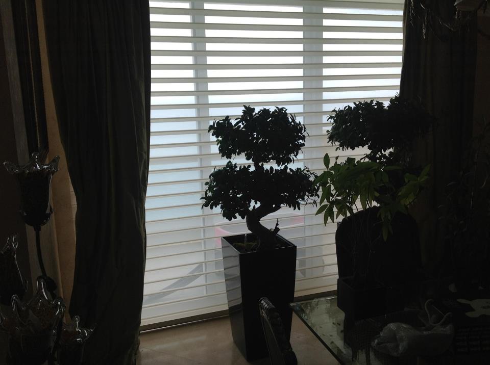 Blinds Shades and Shutters - Sunny Isles Beach Improvement