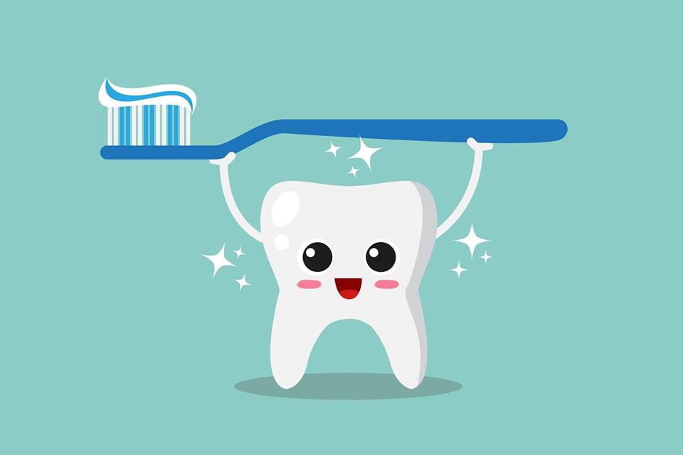 Main Street Children's Dentistry and Orthodontics of Jupiter Organization