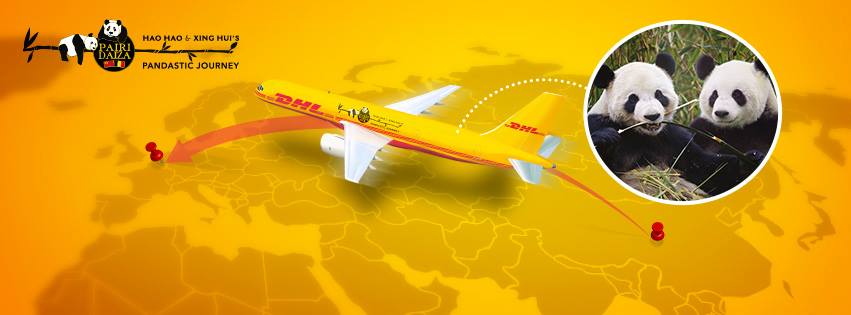 DHL Regulations