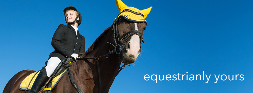 Equine Couture - Wellington Informative