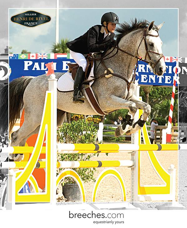 Equine Couture - Wellington Wellington