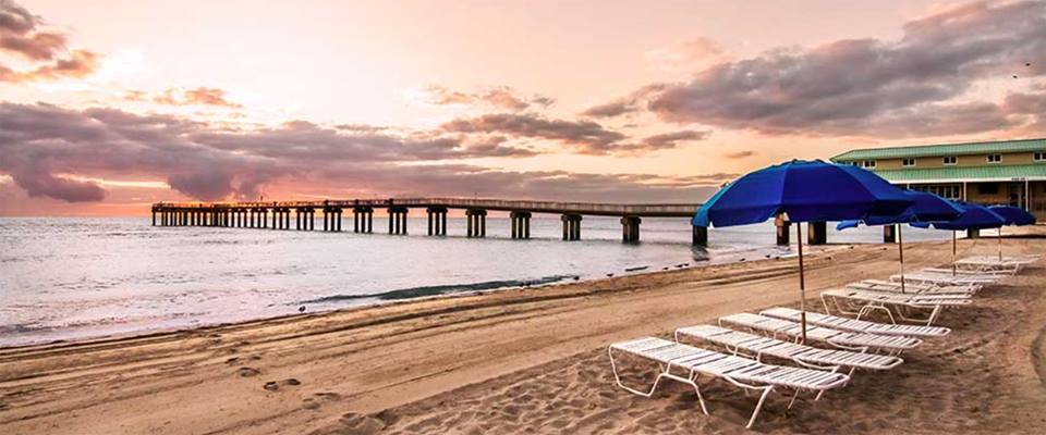 Newport Beachside Hotel & Resort - Sunny Isles Beach Webpagedepot