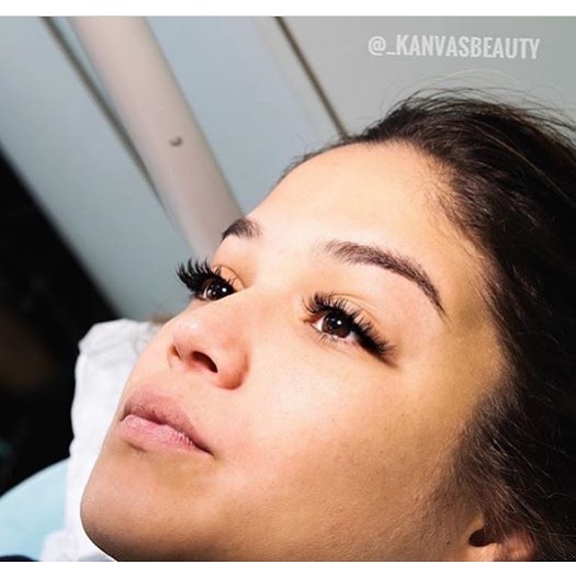 Studio Luxe - Aventura Accommodate