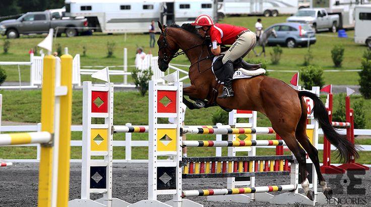 The YARD Sport Horse Center - Wellington Appointments