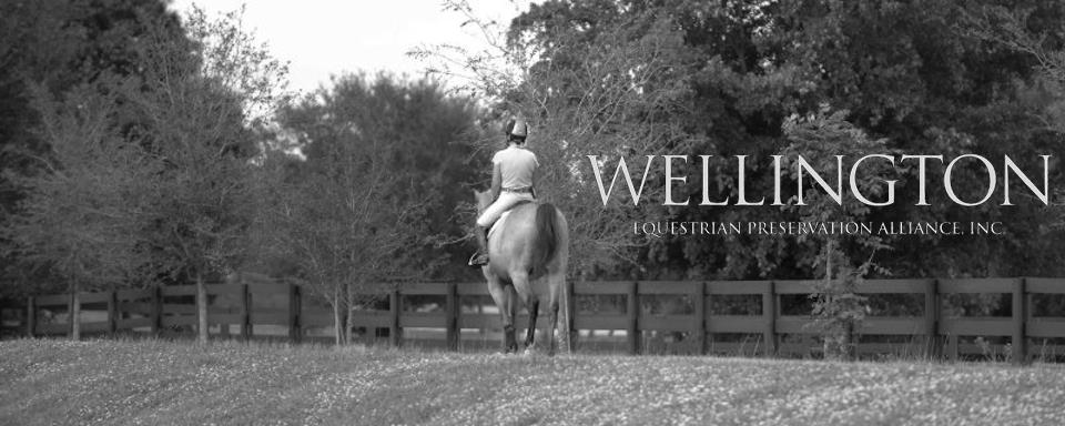 Wellington Equestrian Club - Wellington Webpagedepot