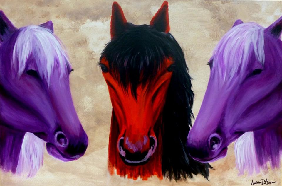 Wellington Equestrian Club - Wellington Informative