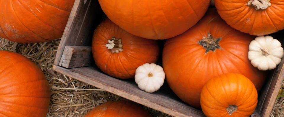 Whole Foods Market - Aventura Regulations