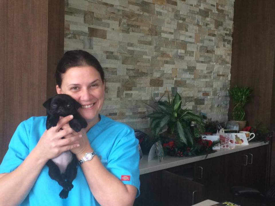 Animal Medical Center of Jupiter - Jupiter Accessibility