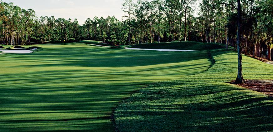 The Dye Preserve Golf Club - Jupiter Informative