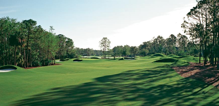 The Dye Preserve Golf Club - Jupiter Regulations