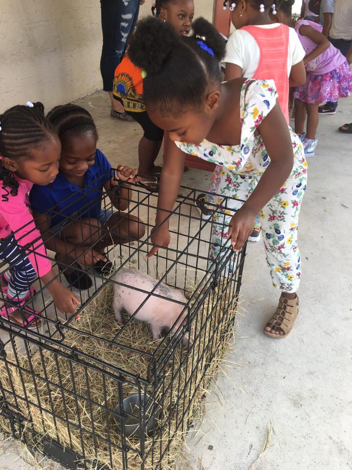 Jackson Daycare Center - Riviera Beach Wheelchairs