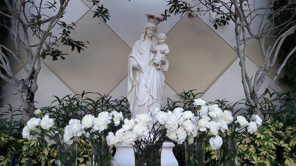 Mary Help of Christians Church - Parkland Regulations