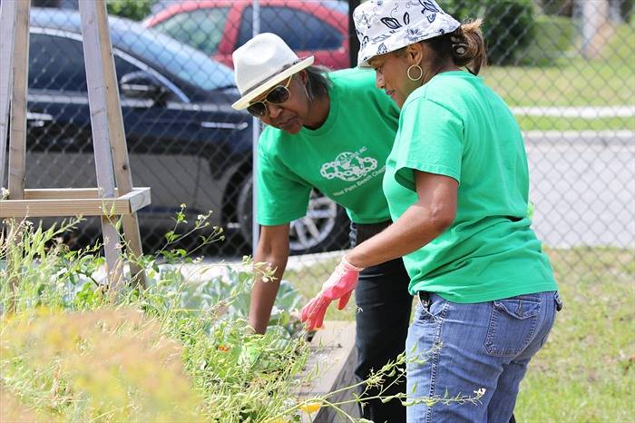 Riviera Beach Community Garden - Riviera Beach Establishment