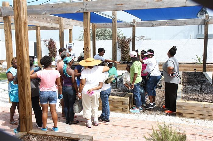 Riviera Beach Community Garden - Riviera Beach Accommodate