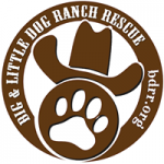 Big Dog Ranch Rescue - Loxahatchee, Big Dog Ranch Rescue - Loxahatchee, Big Dog Ranch Rescue - Loxahatchee, 14444 Okeechobee Boulevard, Loxahatchee Groves, Florida, Palm Beach County, Pet Rescue, Service - Animal Rescue, pet, rescue, pet care, lodging, , animal, horse, dog, cat, pet, Services, grooming, stylist, plumb, electric, clean, groom, bath, sew, decorate, driver, uber