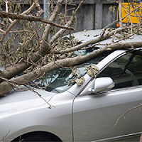 Farmers Insurance - John Macchio - Middletown Cleanliness