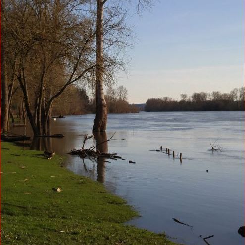 Trueline Surveying - Salem Appointments