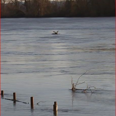 Trueline Surveying - Salem Informative