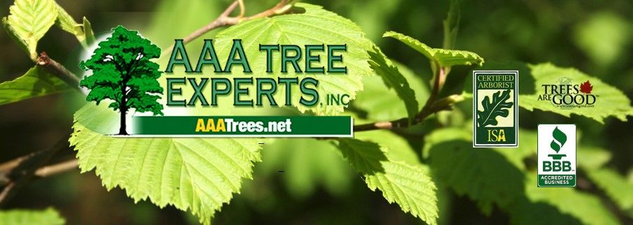 AAA Tree Experts, Inc. - Charlotte Appointments