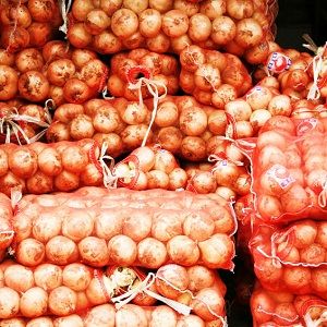 Cen-Tex Seed Inc - Hillsboro Surroundings