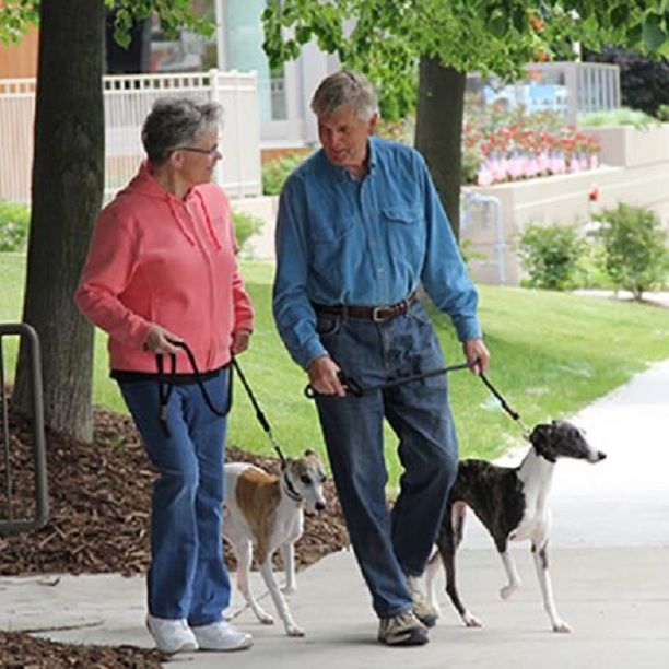 Saint John's On The Lake Informative