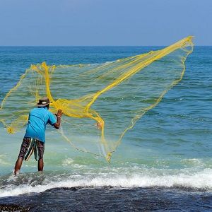 Reel Fun Charters - Toledo Informative