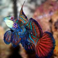 Testing new product using Client Website Product Picture