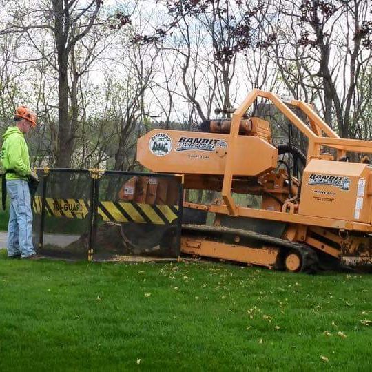 Edwards Tree & Land Clearing Services Inc - Metamora Appointments