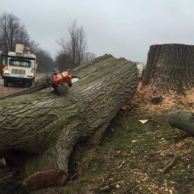 Edwards Tree & Land Clearing Services Inc - Metamora Information