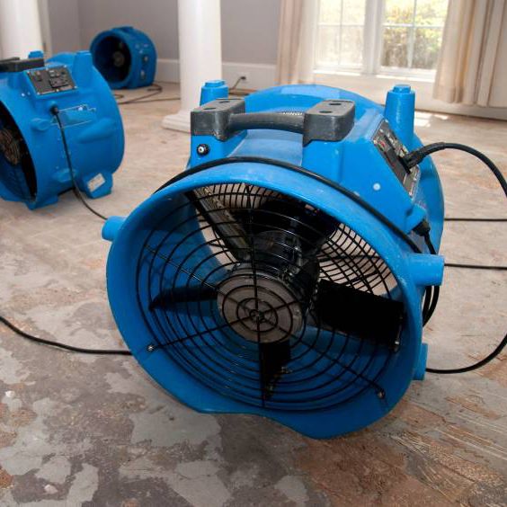 Durk's Farms Services - Dublin Appointments