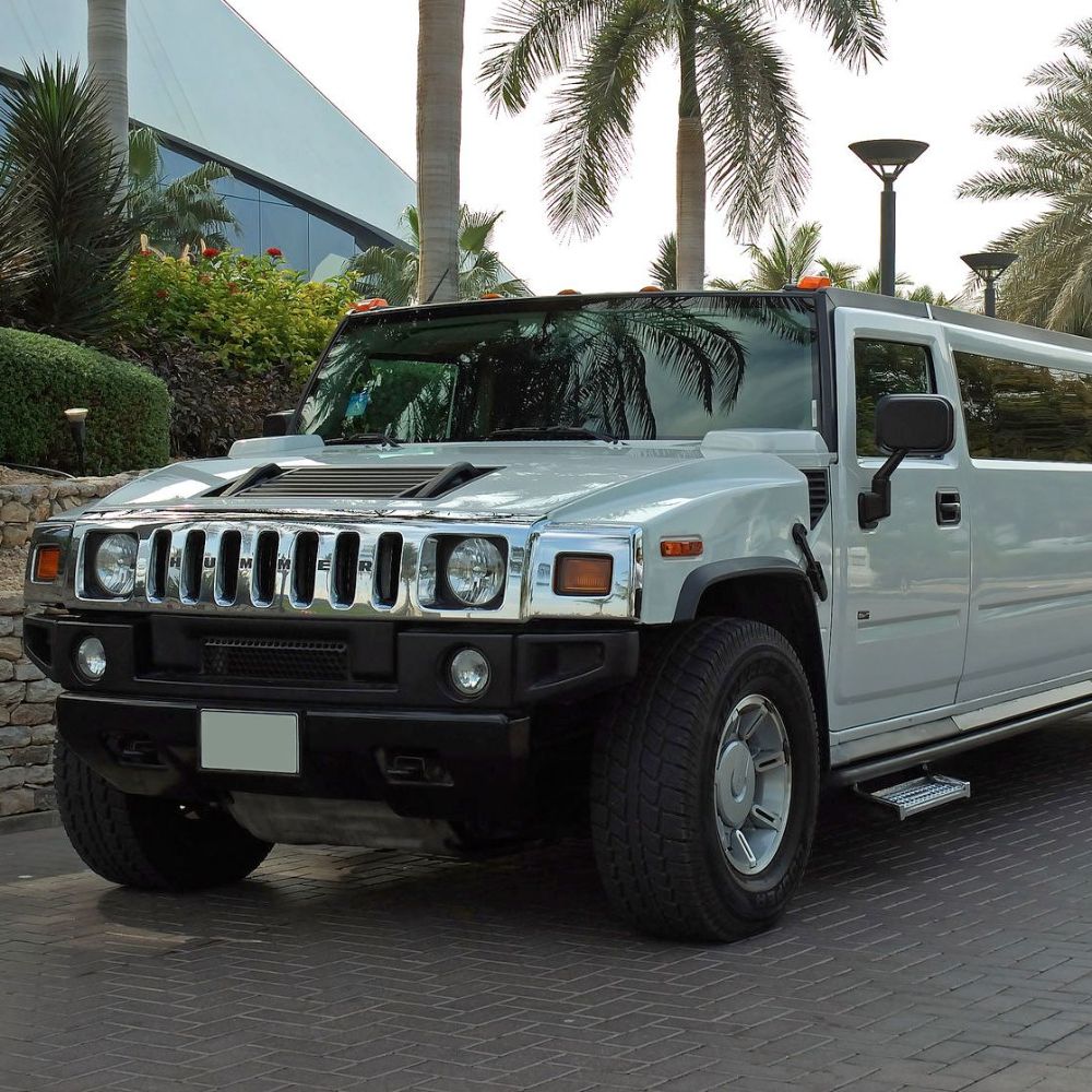 Fantasy Limousine Service - Taylor Organization